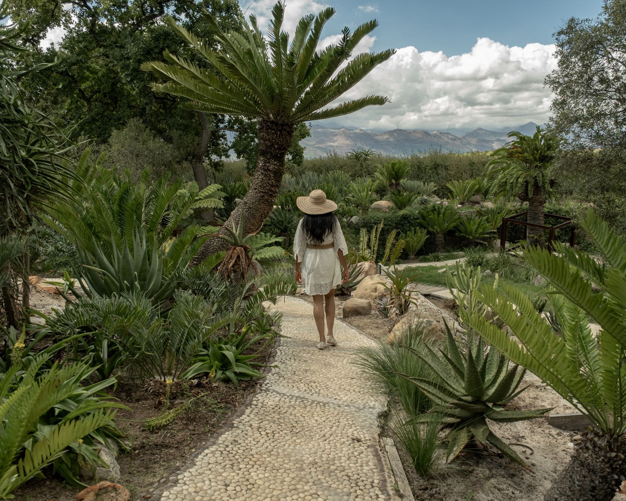 Cape Town, South Africa — image 3